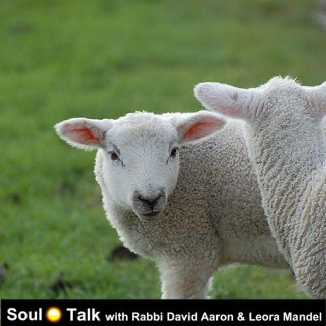 How Passover Sets Us Free - Soul Talk - podcast episode cover