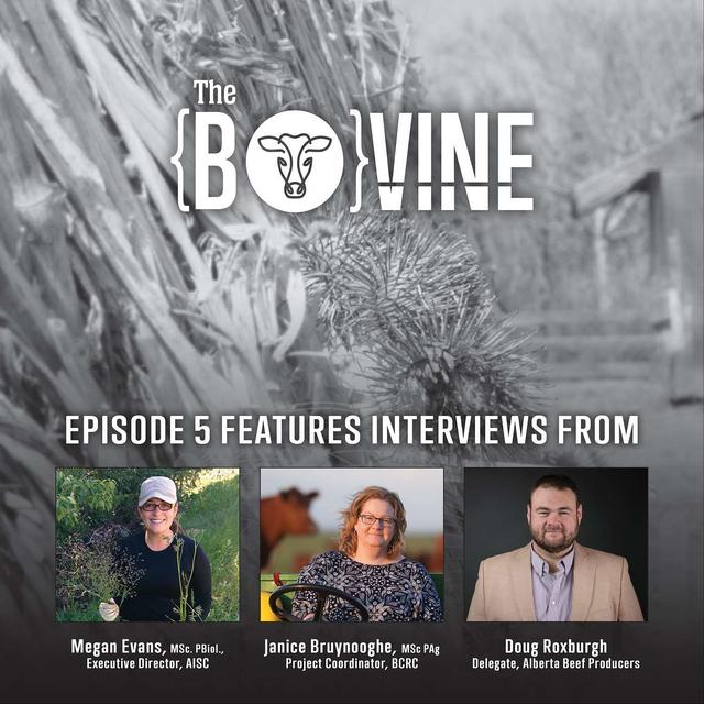 Weed-free forage, carrying capacity, and first-gen at the table - podcast episode cover