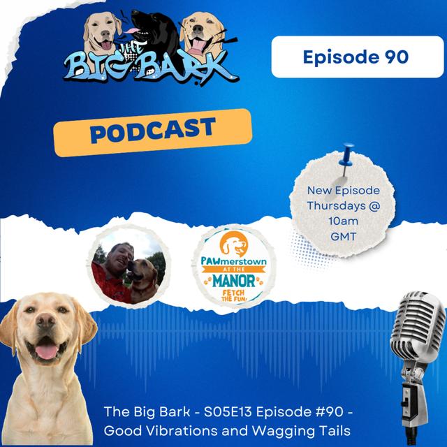 The Big Bark - S05E13 Episode #90 - Good Vibrations and Wagging Tails - podcast episode cover