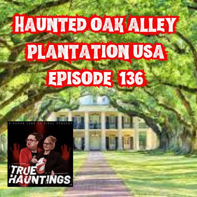 Case 136: Haunted Oak Alley Plantation USA - podcast episode cover