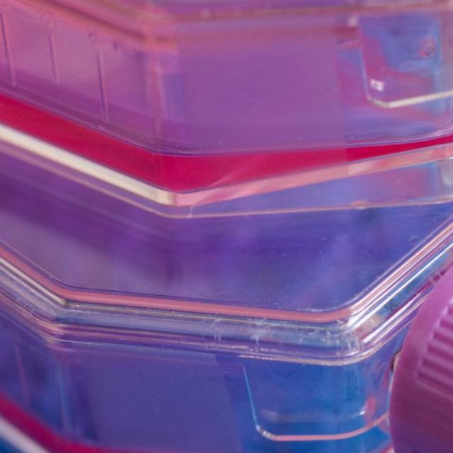 Ensuring reliable reagents and robust relationships in cell therapy - podcast episode cover