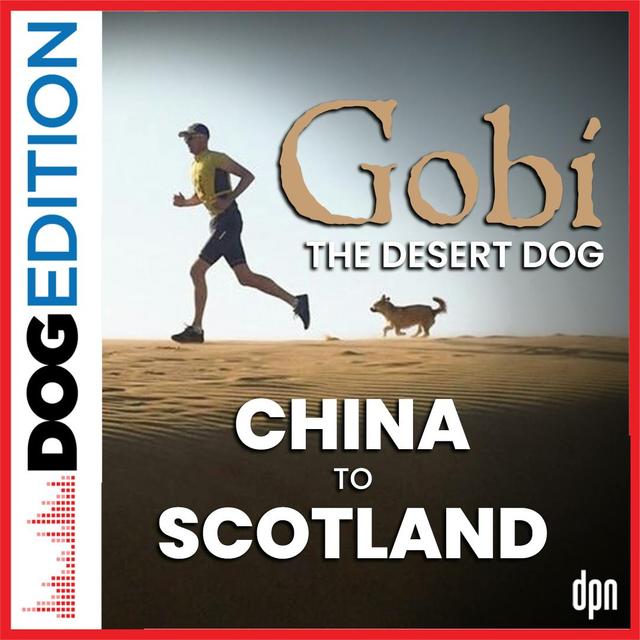 Gobi the Desert Dog: From China to Scotland | Dog Edition #57 - podcast episode cover