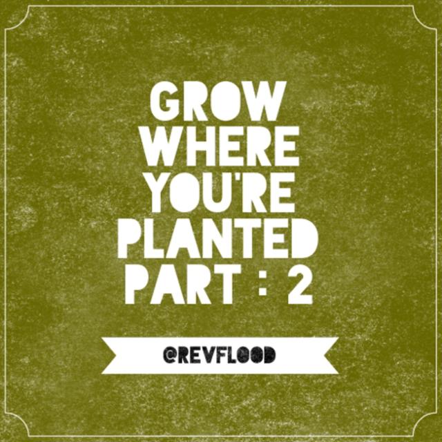 Episode 10: Grow Where You’re Planted Part: 2 - podcast episode cover