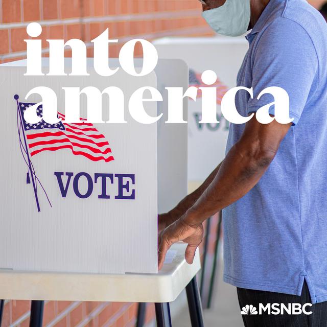 Into a Pivotal Election in a Wild Year - podcast episode cover