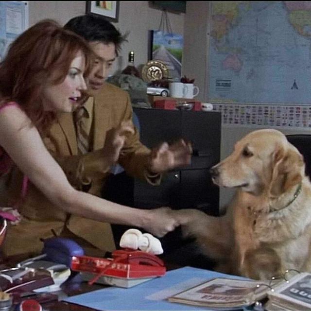 Episode #75 - Love On A Leash - podcast episode cover