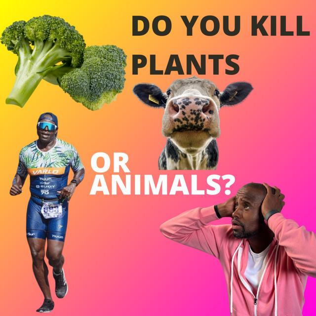 Can a Vegan Plant Based Diet Really Make You Run Faster? - podcast episode cover