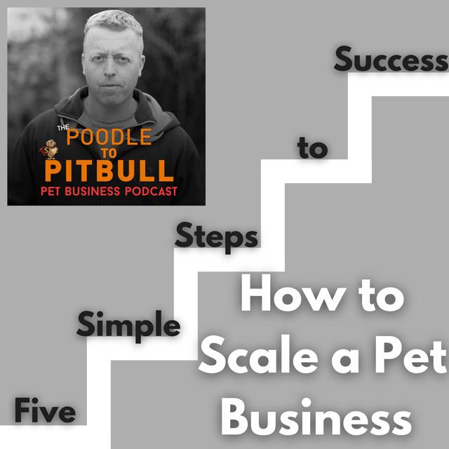 Episode 385 - How to Scale a Pet Business - Five Simple Steps to Success - podcast episode cover