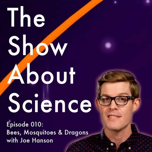 Bees, Mosquitoes and Dragons with Joe Hanson - podcast episode cover