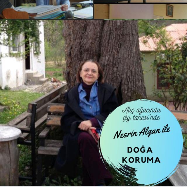 17 - Nesrin Algan ile Doğa Koruma I - podcast episode cover