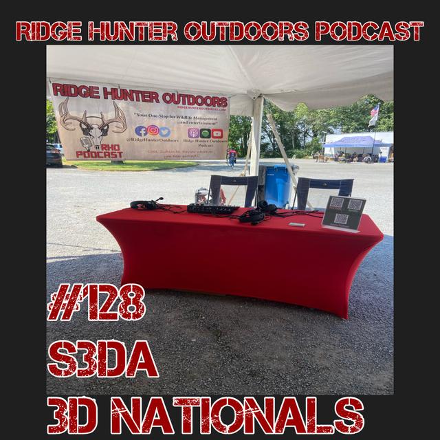Live(ish) From S3DA 3D Nationals | RHO Podcast #128 - podcast episode cover