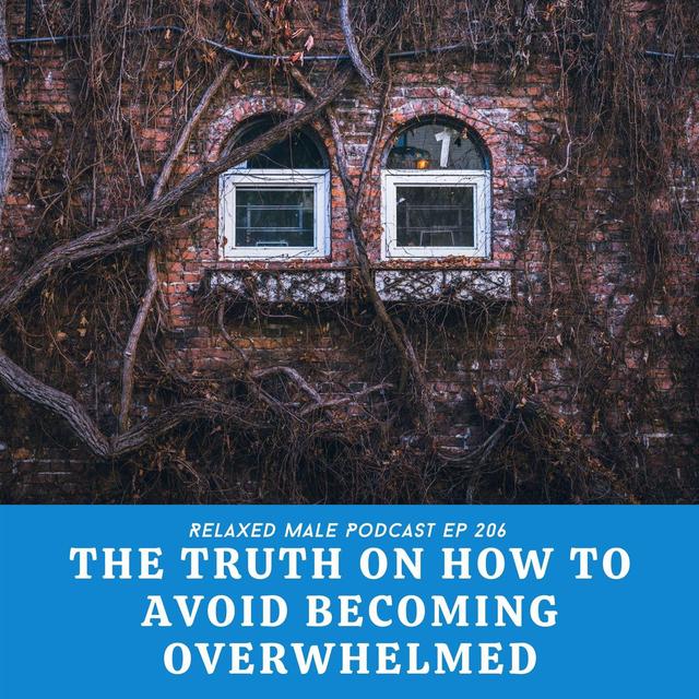 The Truth On How to Avoid Becoming Overwhelmed - podcast episode cover