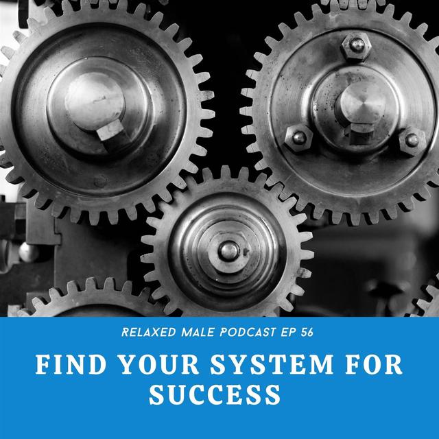 Find Your System for Success - podcast episode cover