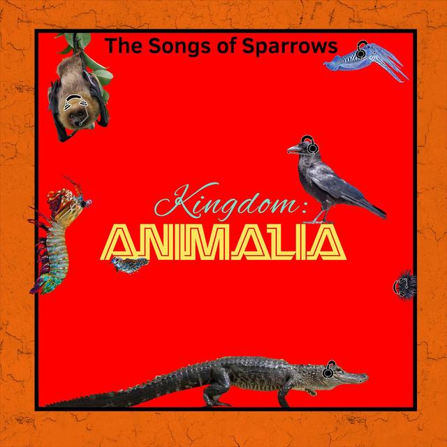BONUS: The Songs of Sparrows - podcast episode cover