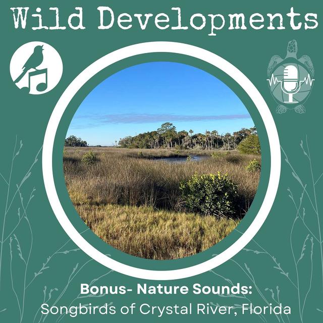 Bonus: Nature Sounds- Songbirds of Crystal River, Florida - podcast episode cover