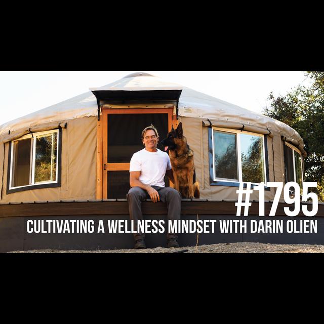 1795: Cultivating a Wellness Mindset With Darin Olien - podcast episode cover
