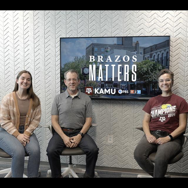 Kelly Wellman, Director of Texas A&M’s Office of Sustainability - podcast episode cover