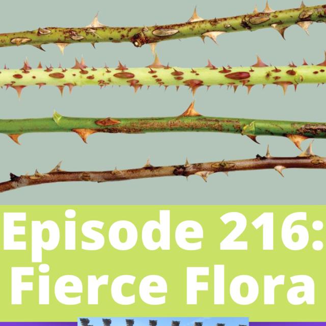 Fierce Flora - podcast episode cover