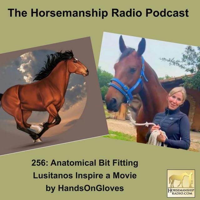 256: Does Your Horse's Tack Really Fit?, Lusitanos Inspire a Movie by HandsOnGloves - podcast episode cover