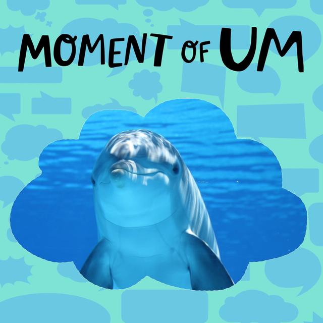 What makes dolphins so smart? - podcast episode cover