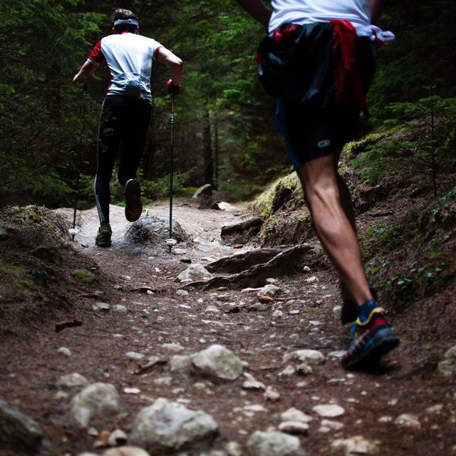 Born to Run with Chris McDougall and Herman Pontzer - podcast episode cover