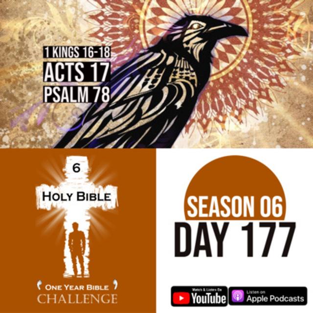 Day 177 | God uses Elijah to heal a young boy | Paul and Silas preach in Berea and Thessalonica - podcast episode cover