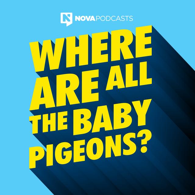 Why Are There Shoes On Power Lines? - podcast episode cover