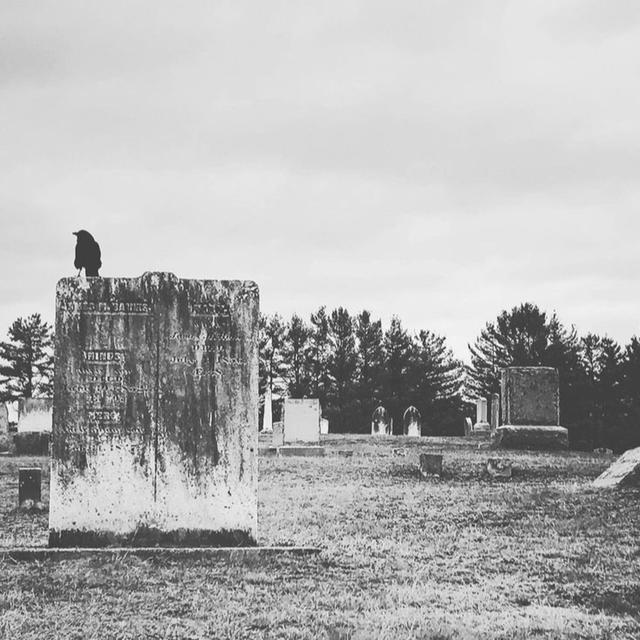 Bonus Halloween Interviews: Eli St Thomas/Ali Hafez - podcast episode cover