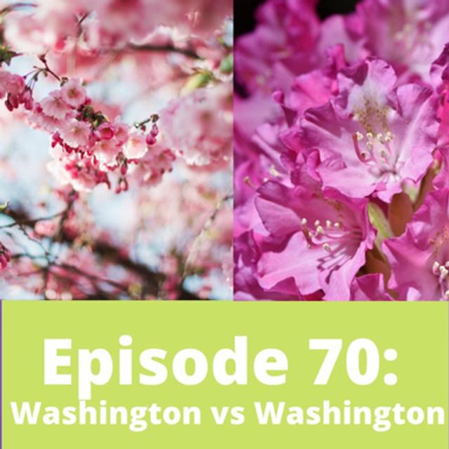 Washington vs Washington - podcast episode cover
