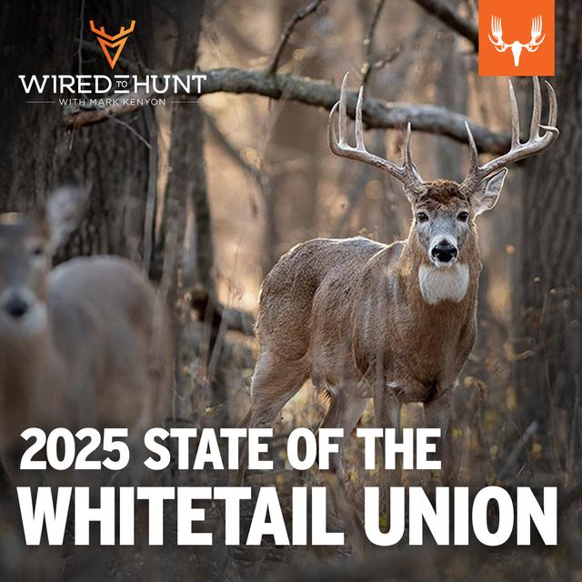 Ep. 884: 2025 State of the Whitetail Union with Nick Pinizzotto and Matt Ross - podcast episode cover