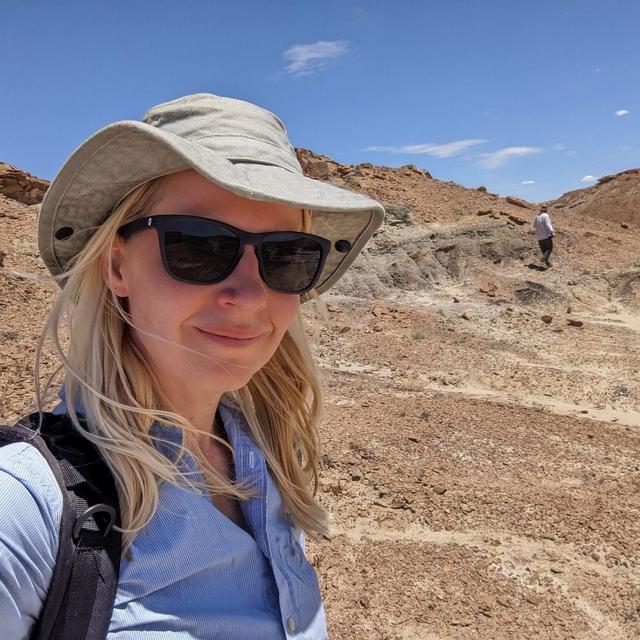 This Scientist Figured Out Why Your Appendix Isn't Useless - podcast episode cover