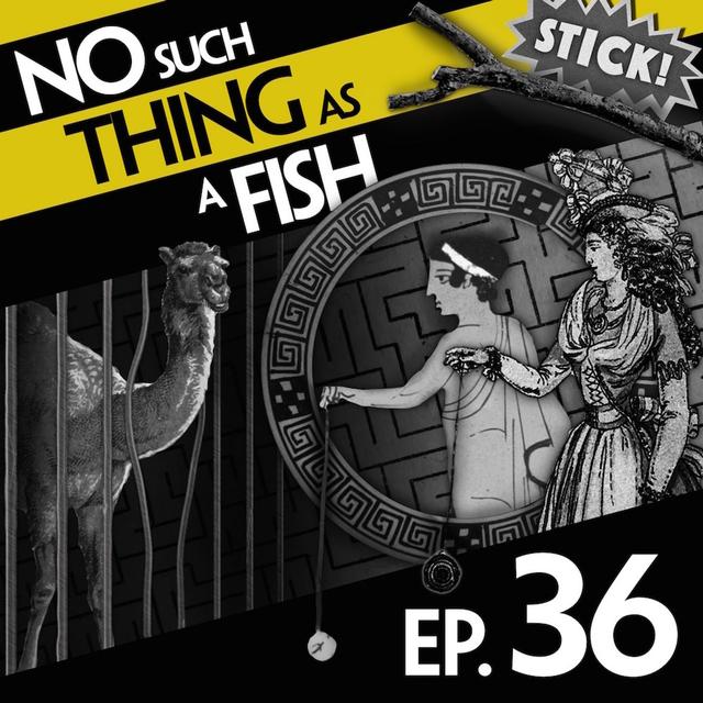 36: No Such Thing As A Game Of King's Footsie - podcast episode cover