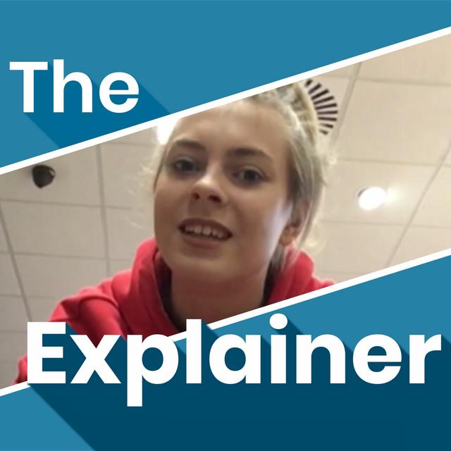 The Explainer: The story of the Ana Kriegel trial - podcast episode cover
