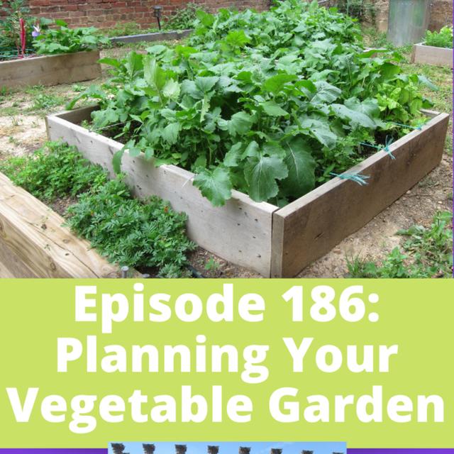 Planning Your Vegetable Garden - podcast episode cover