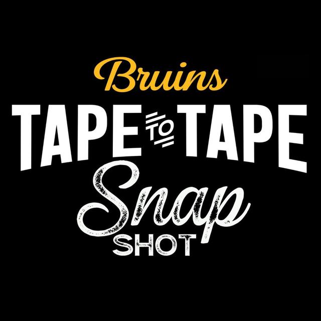 Another Day, Another L for the Boston Bruins | Snap Shots Episode 43 - podcast episode cover
