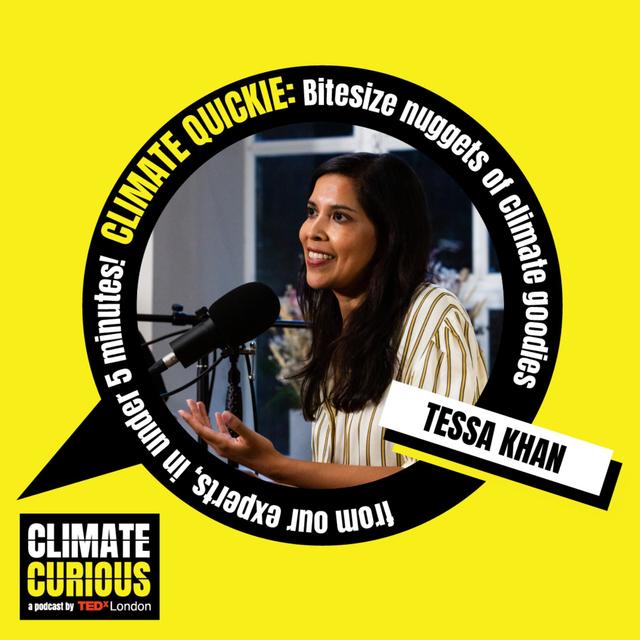 What the closure of the UK’s last coal plant means - podcast episode cover