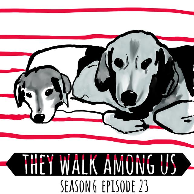 The Body Under The Brambles / The Murder Of Peter Wrighton - podcast episode cover