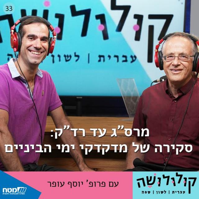 פרק 33: מרס"ג עד רד"ק: סקירה של מדקדקי ימי הביניים / פרופ' יוסף עופר - podcast episode cover