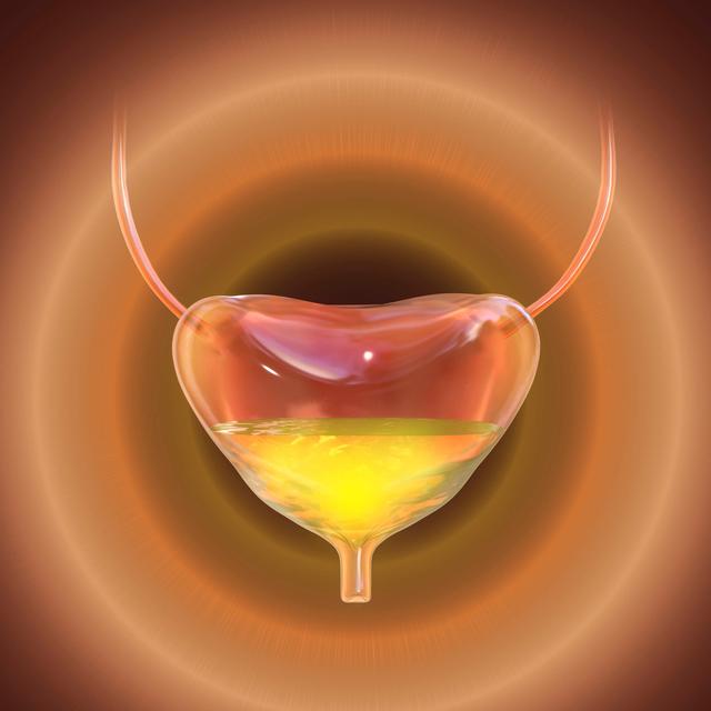 Why The Bladder Is Number One! - podcast episode cover