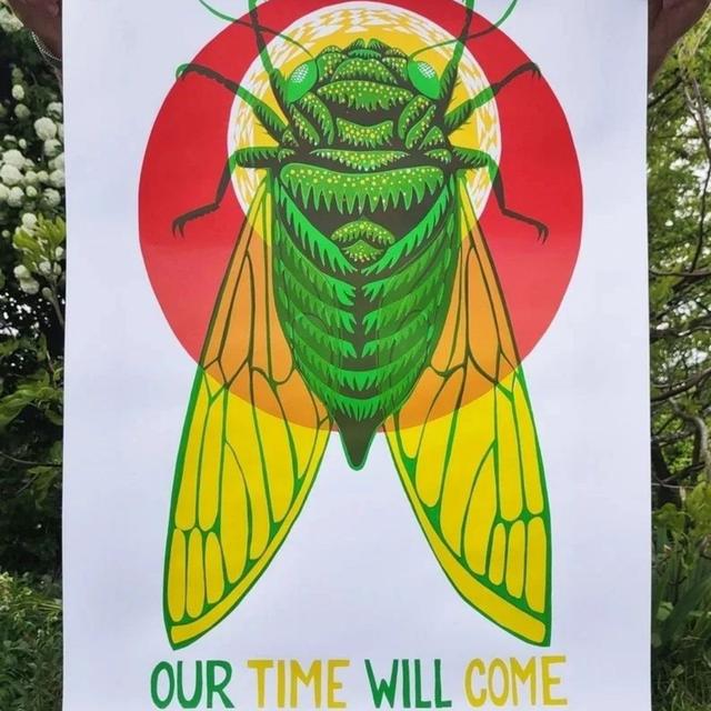 A Conversation with Printmaker & Artist Roger Peet - podcast episode cover