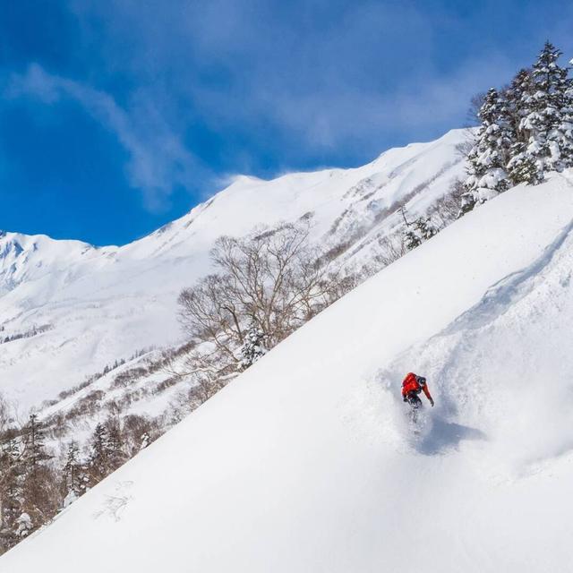 116: The rise and fall of Japan's ski industry w/ Francesco Bassetti - podcast episode cover