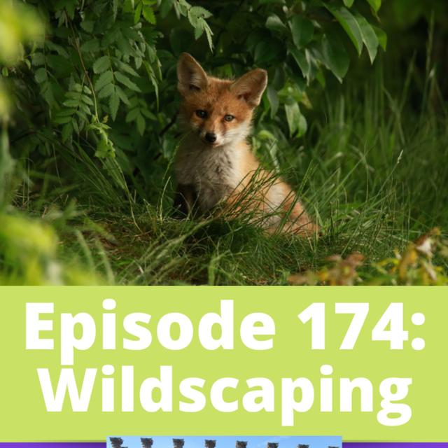 Wildscaping - podcast episode cover