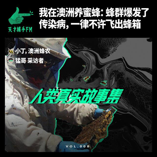 我在澳洲养蜜蜂：蜂群爆发了传染病，一律不许飞出蜂箱 | 人类真实故事集08 - podcast episode cover