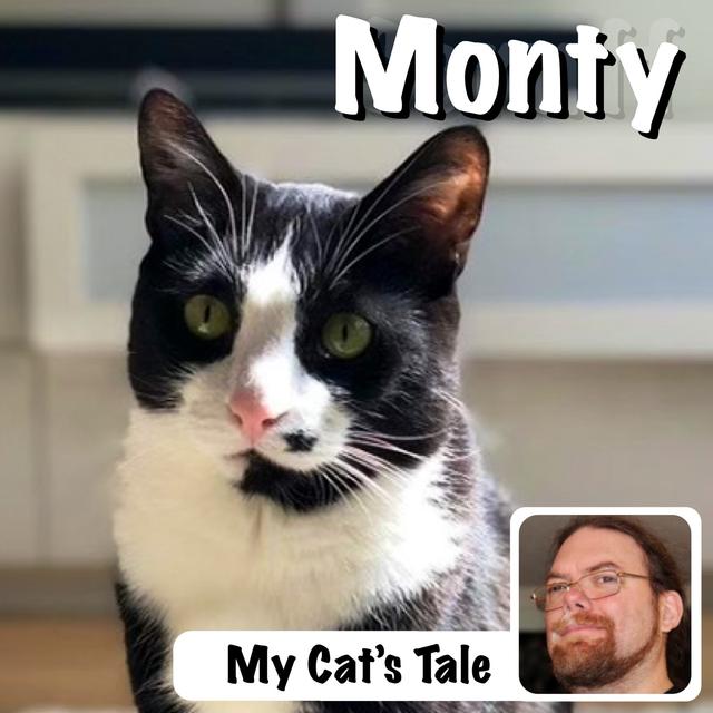 My Cat’s Tale: Monty - podcast episode cover