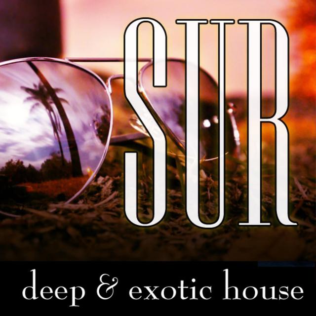 Sur : Deep & Exotic House Music - Erik Hanna - August 2012 - podcast episode cover