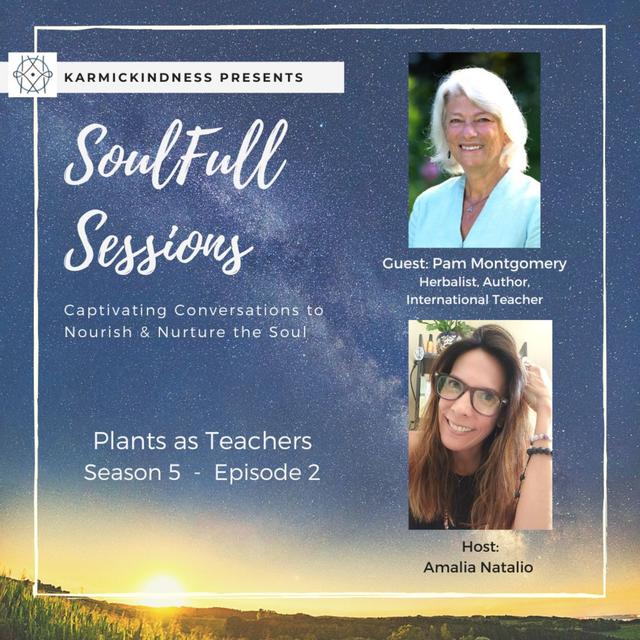 SoulFull Sessions: Plants as Teachers with Pam Montgomery - podcast episode cover