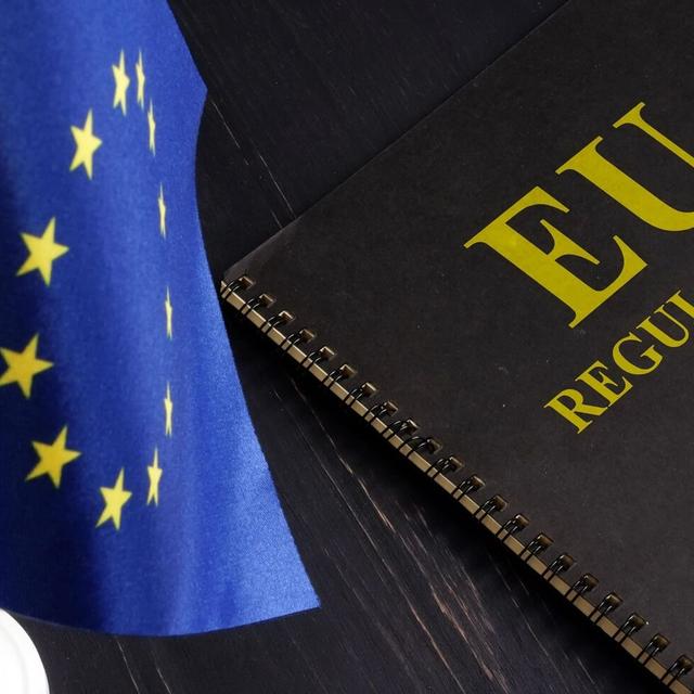 Do the EU’s Proactive Regulations Stifle Tech Innovation? - podcast episode cover