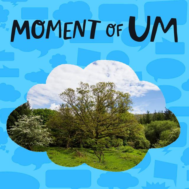 Why do some trees grow taller than others? - podcast episode cover