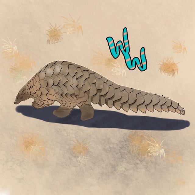 Pangolin - podcast episode cover