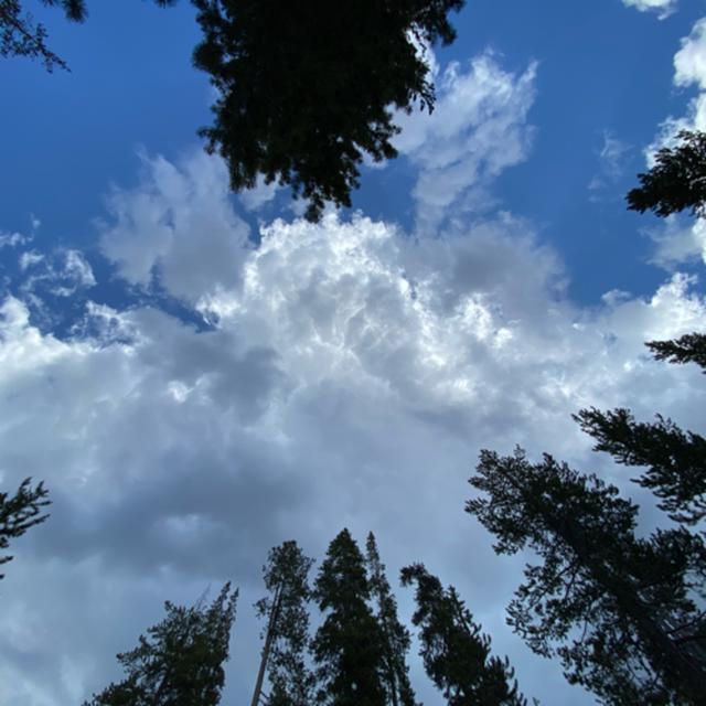 Bonus! Evening Thunderstorm At Medicine Lake - podcast episode cover