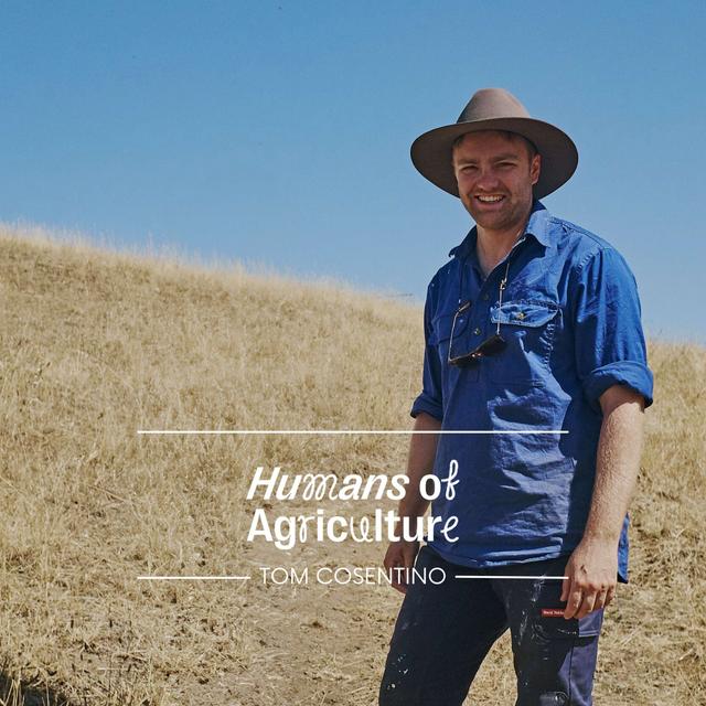 Learning from YouTube and the upsides of first-gen farming, with Tom Cosentino - podcast episode cover